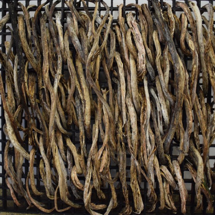 Susan Wood // Kelp Weaving